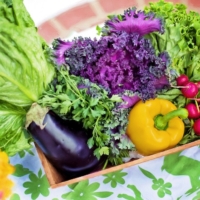 Fresh summer vegetables in a box on a bright tablecloth.