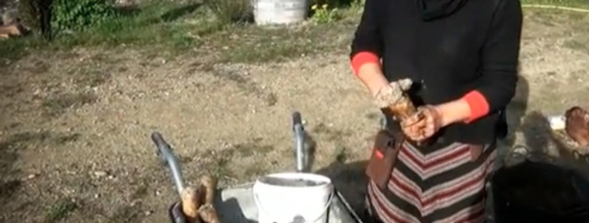 Su Hoskin at Domaine Thomson, Central Otago, New Zealand, demonstrates how to make biodynamic horn manure