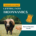 Harvests Education Bundle - Getting Into Biodynamics