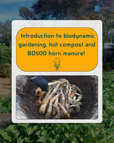 White and Green Compost Instagram Post