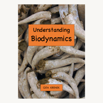 Understanding Biodynamics